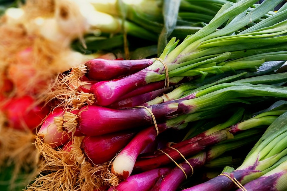 Is It Safe to Eat Sprouted Onion